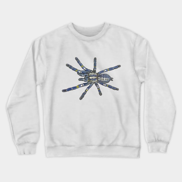 Poecilotheria metallica Crewneck Sweatshirt by AikasHeaven